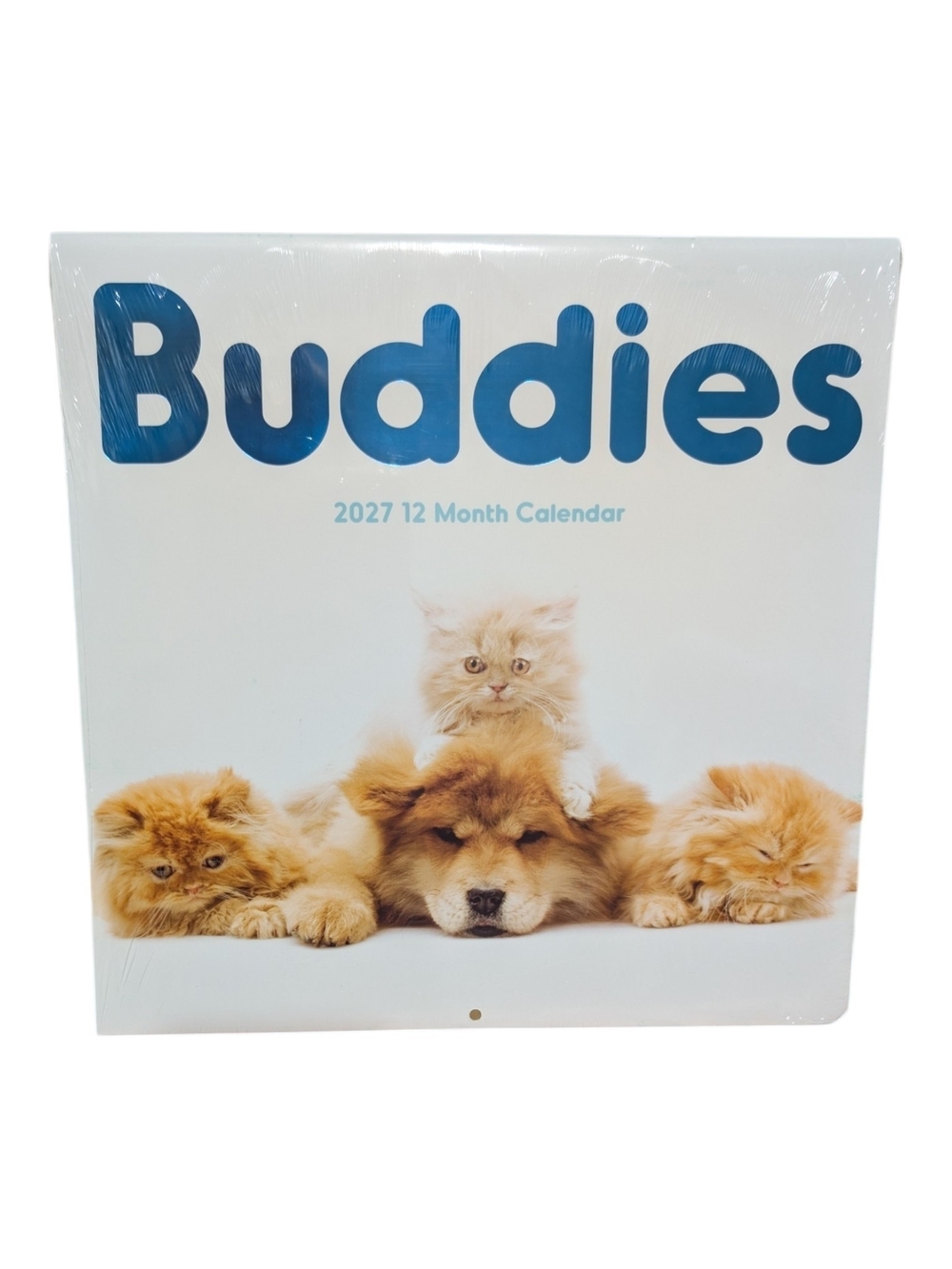 Buddies 2027 12-Month Animal Calendar